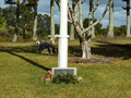 White flagpole sitting in grass area in front of a stand of trees