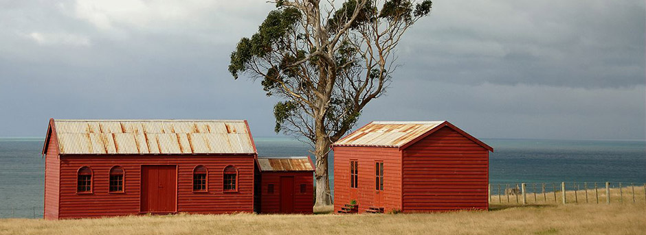 Red barn buildings separated by a large gum tree