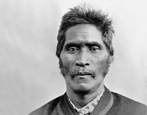 Wiremu Tāmihana Tarapipipi Te Waharoa 