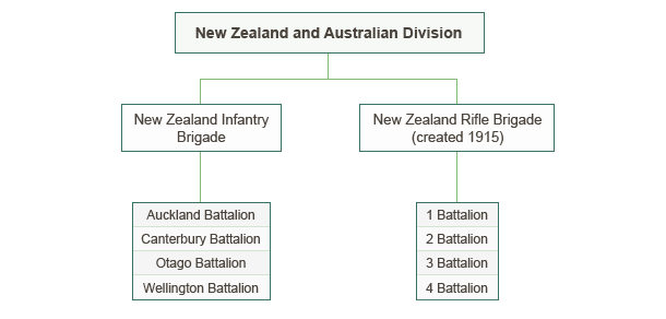 NZ Infantry Aug 1914 - Mar 1916