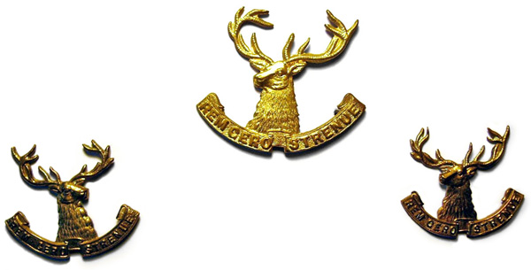 10th Nelson Squadron badge