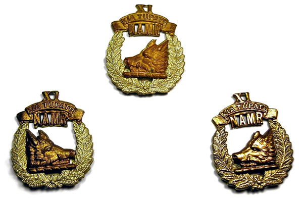 11th Nth Auckland Squadron badge