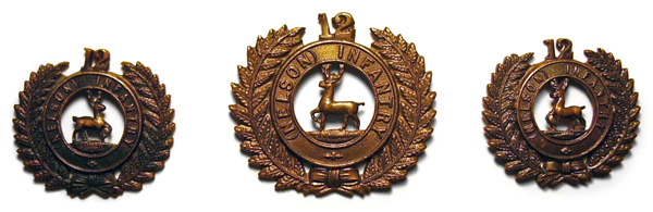 12th Nelson Regiment badge