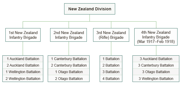 NZ Infantry Jan 1917 - Nov 1918