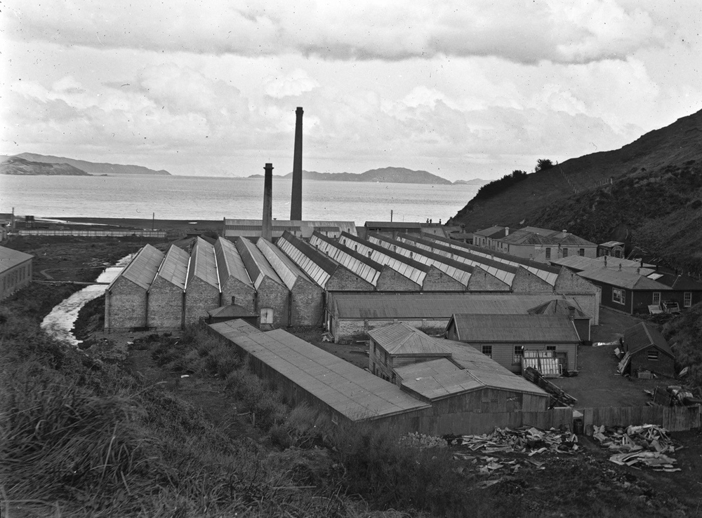 Industrial buildings and chimneys with wellington harbour in background