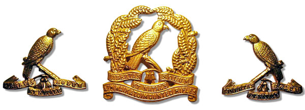 4th Waikato Squadron badge