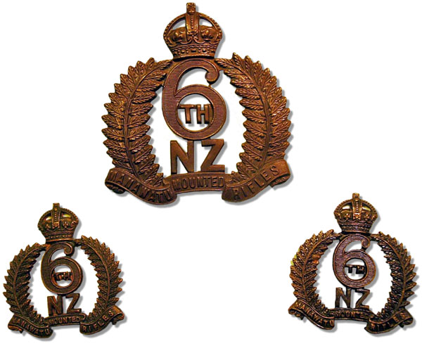 6th Sth Wellington Squadron badge