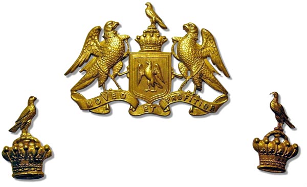 8th Sth Canterbury Squadron badge