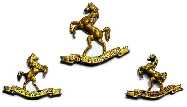 9th Wellington East Coast Squadron badge