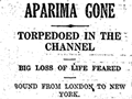Report on the loss of the Aparima