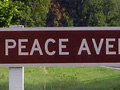 Fairlie Peace Avenue
