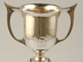 The Freyberg Cup