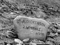 Alfred Dickinson's grave