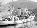 HMNZS Kiwi in 1951