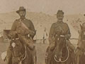Horses on Gallipoli