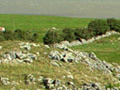 View of stonefields
