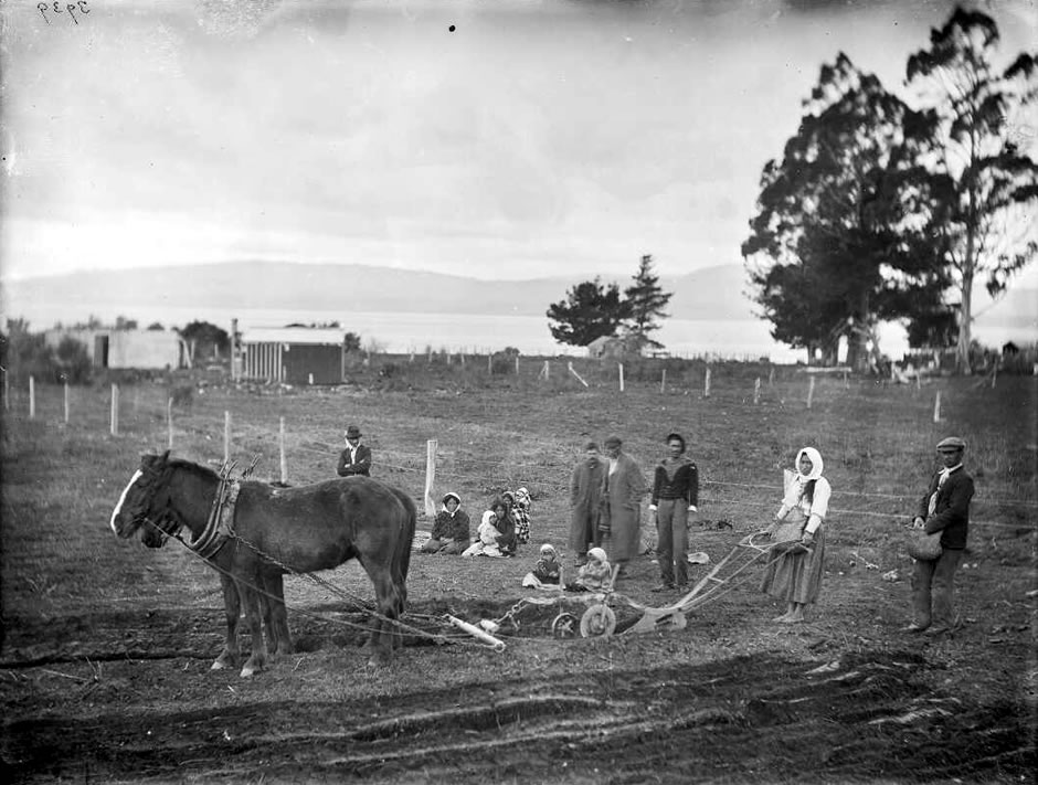 Maori women farming