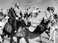 Mounted Arab troops