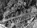Chasm Creek suspension bridge