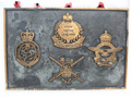 Close up view of brass plaque with four military crests on it.
