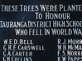 Tauranga District Council High School memorial trees