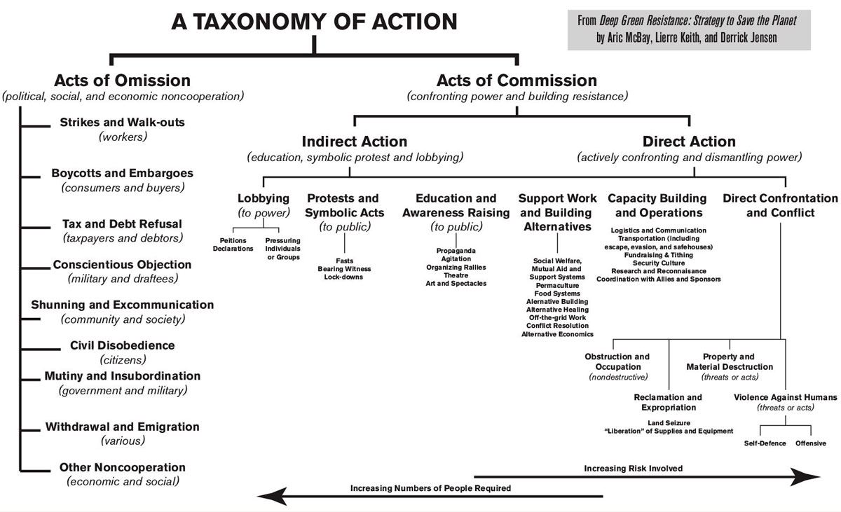 Taxonomy of Action