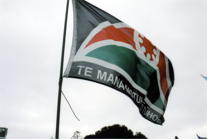 Te Mana Motuhake o Tūhoe flag flown during march against seabed and foreshore legislation in Wellington, 2004