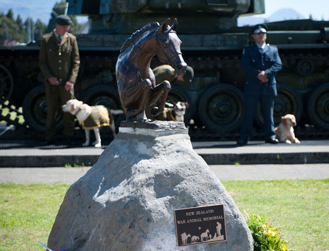 War animals and the purple poppy - Anzac Day and remembrance | NZHistory,  New Zealand history online