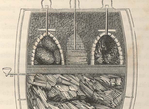 Sketch of bee storage chamber, c. 1840s