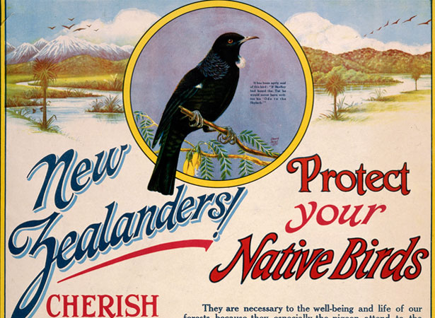 New Zealand Native Bird Protection Society poster, 1920s