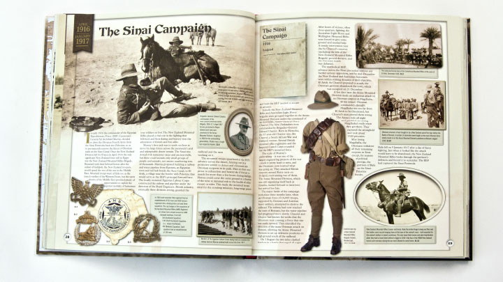 The Sinai Campaign plate
