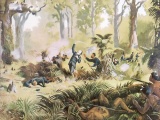 New Zealand's 19th-century wars
