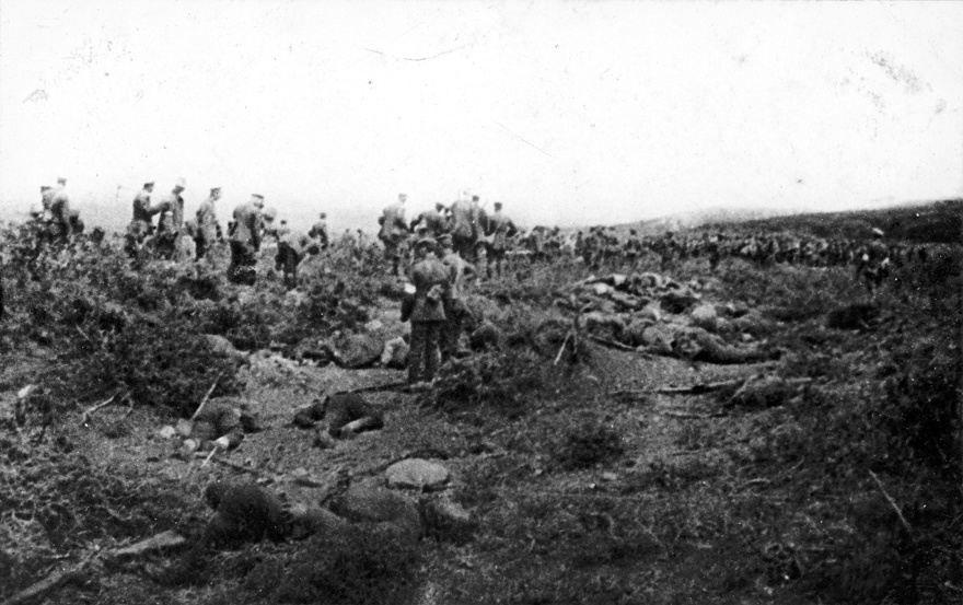 Gallipoli armistice