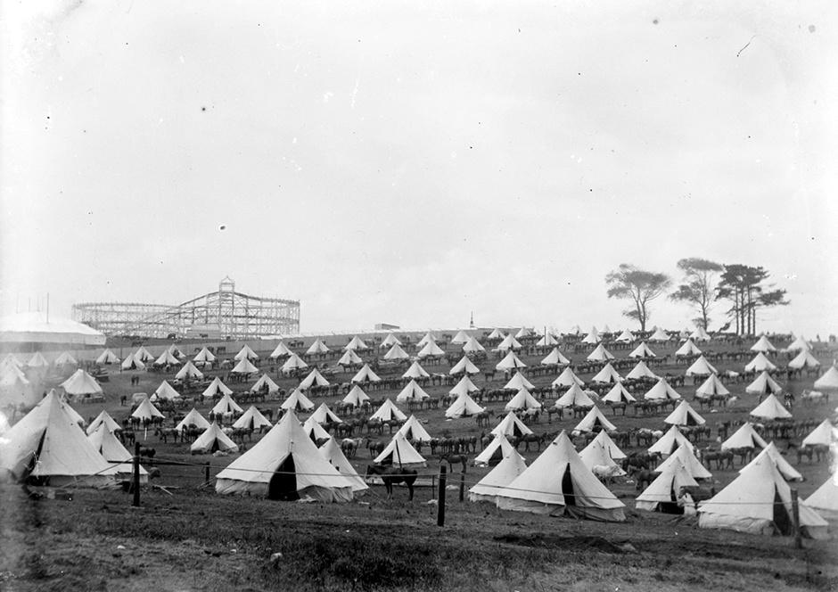 Mounted special constables' camp, Auckland Domain, 1913