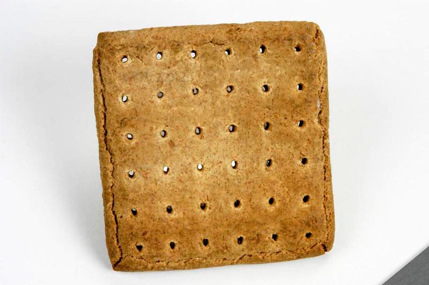 Army issue ration biscuit