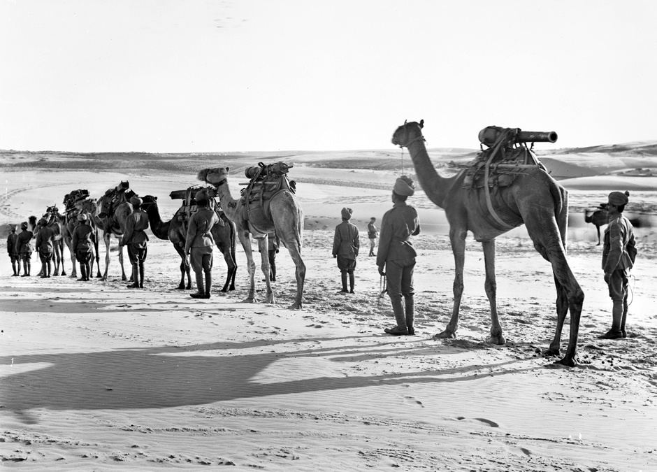 Camel artillery on the march