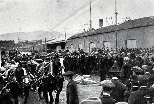 Dunedin wharf during the 1913 strike