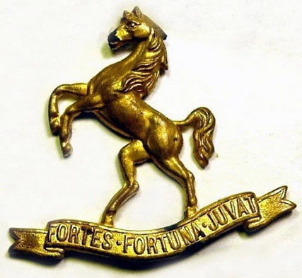 9th (Wellington East Coast) Mounted Rifles
