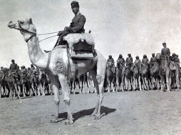 Ottoman Army cameliers