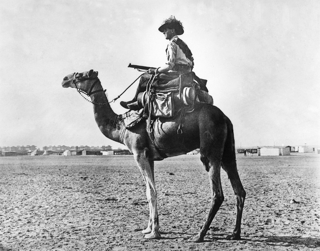 Australian camelier 1916
