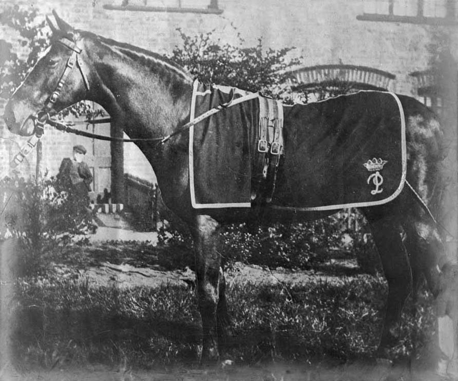 Carbine and the 1890 Melbourne Cup