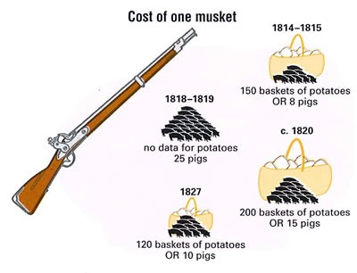 Changing cost of muskets 1814-1827
