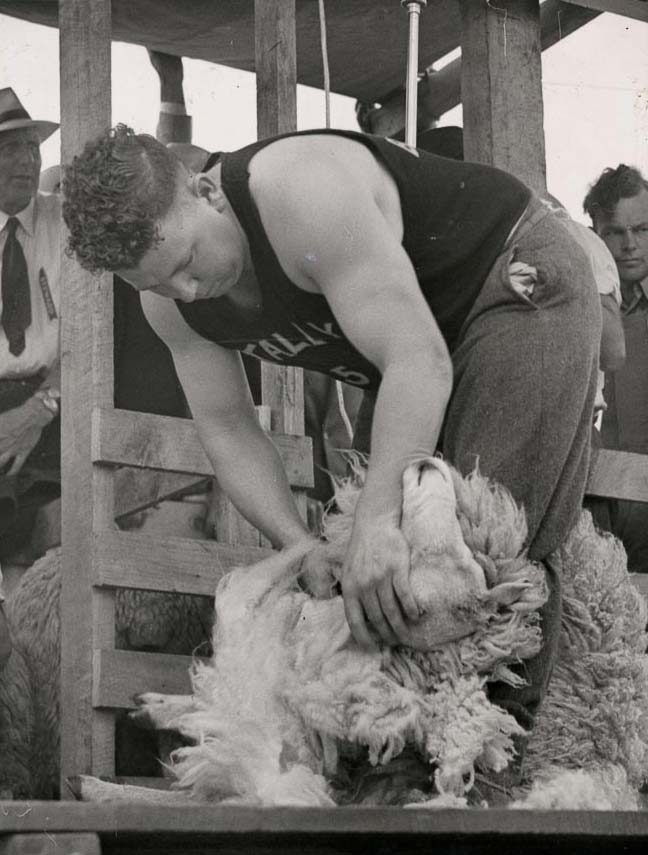 Godfrey Bowen shearing