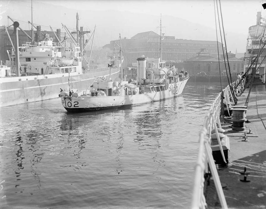 HMNZS <em>Kiwi</em> in 1951