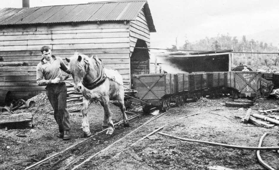 Horse towing coal carts