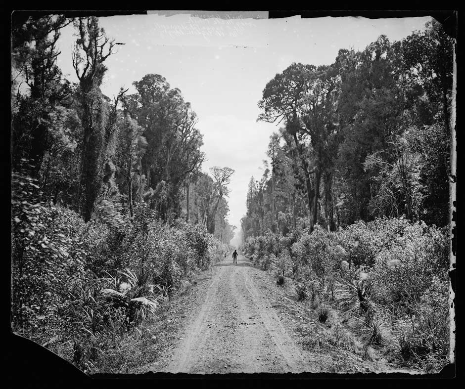 Bush road photograph by James Bragge