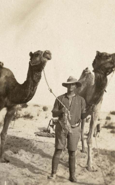 New Zealand camelier with camels