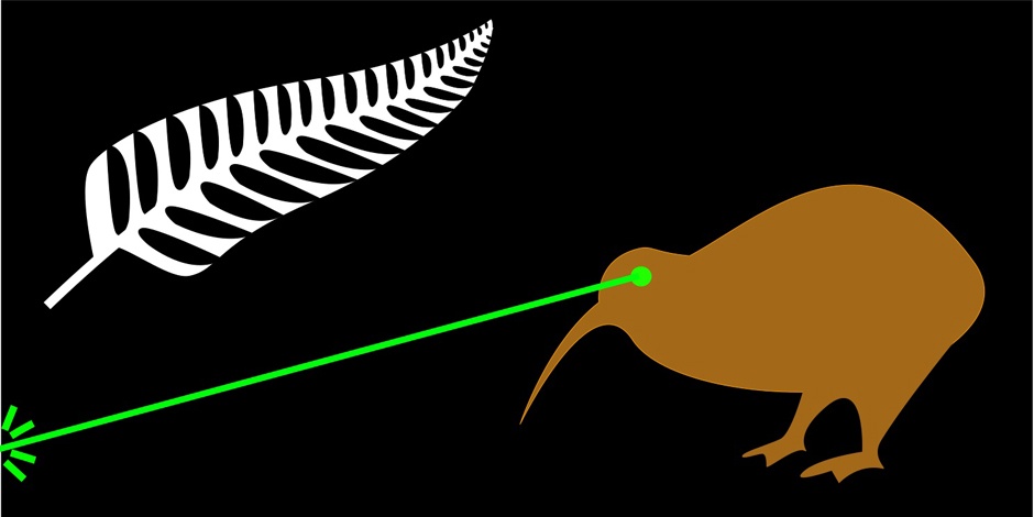 Laser Kiwi flag