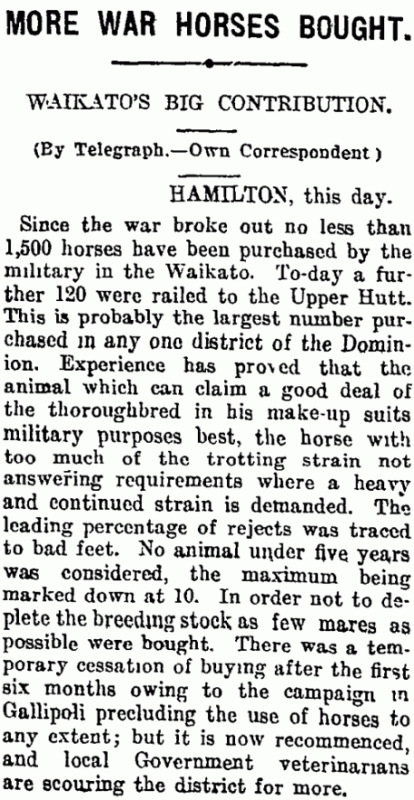 Purchasing Waikato horses for war