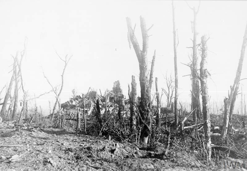 Ruins of Polderhoek Chateau, 1917